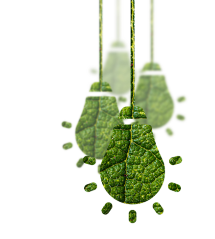 CSR at Narmada Group